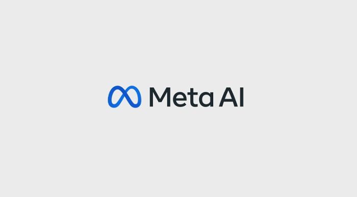 Meta fornisce agli utenti controlli espliciti per rimuovere i loro dati dai set di addestramento dell’intelligenza artificiale generativa